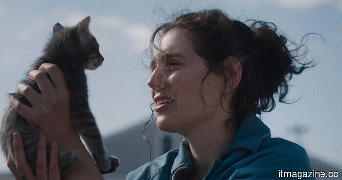 Three overlooked films on HBO Max that you should check out this weekend (July 31-August 2).