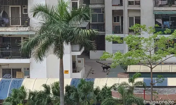 Revisión del Samsung S26 Plus: Consistentemente aburrido