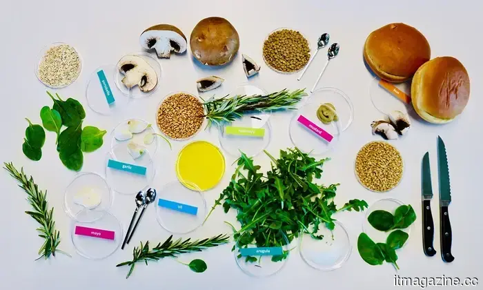 Científicos de Stanford construyeron una IA que puede diseñar hamburguesas más saludables y ecológicas.