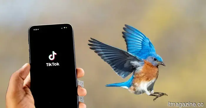 Forget doomscrolling; Gen Z is now scrolling through bird content on TikTok.