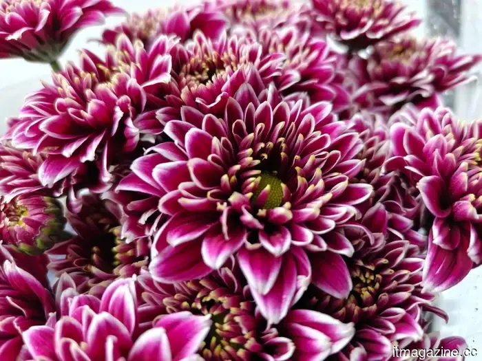 OnePlus 15R review: it may not be eye-catching, but it excels in one important aspect more than any other phone I've evaluated.