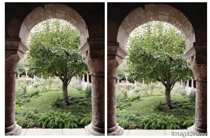 The Halide 3.1 update introduces improved photo straightening, a warmer appearance, and enhanced focus tapping features.