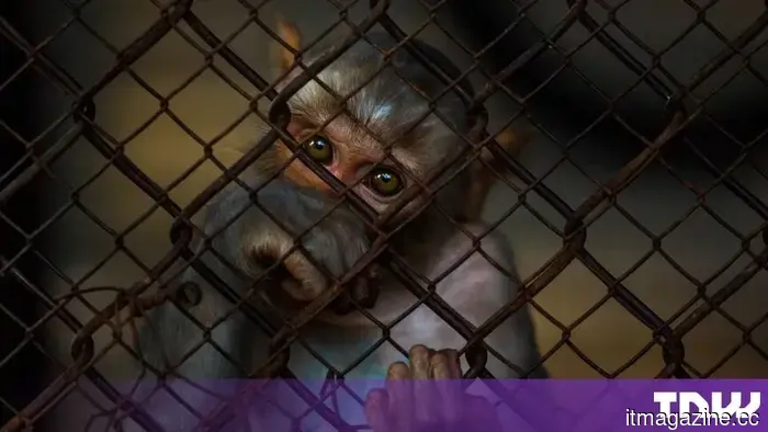 $26,000 monkeys in laboratories represent the peculiar indicator of China's biotechnology surge.