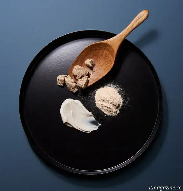 Un laboratorio di Lisbona sta trasformando batteri morti in snack per cani. Prossimo: snack per umani.