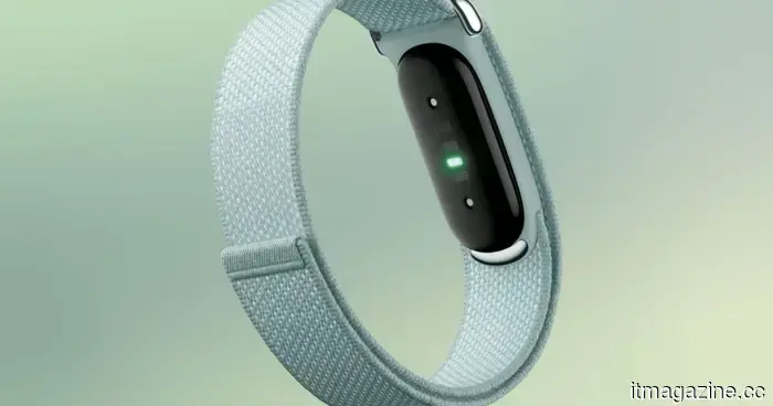 Google encourages you to 3D-print your own Fitbit Air bands.