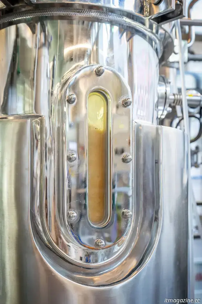 Un laboratorio di Lisbona sta trasformando batteri morti in snack per cani. Prossimo: snack per umani.