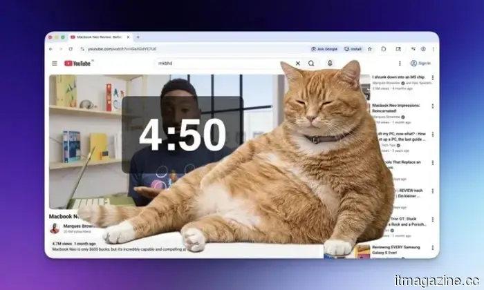 Intel's Wildcat Lake processors are quite expensive, yet testing reveals they fall short compared to the MacBook Neo.