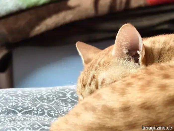 The Vivo X300 Ultra is putting other camera phones to shame, and here's the reason.