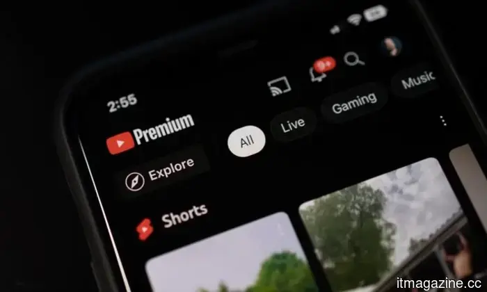 Netflix sta per sembrare più un social media con un feed verticale in arrivo.