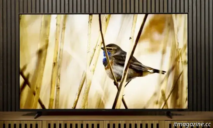 L'enorme TV OLED Samsung S90D da 77 pollici ha un taglio di prezzo di $1.700