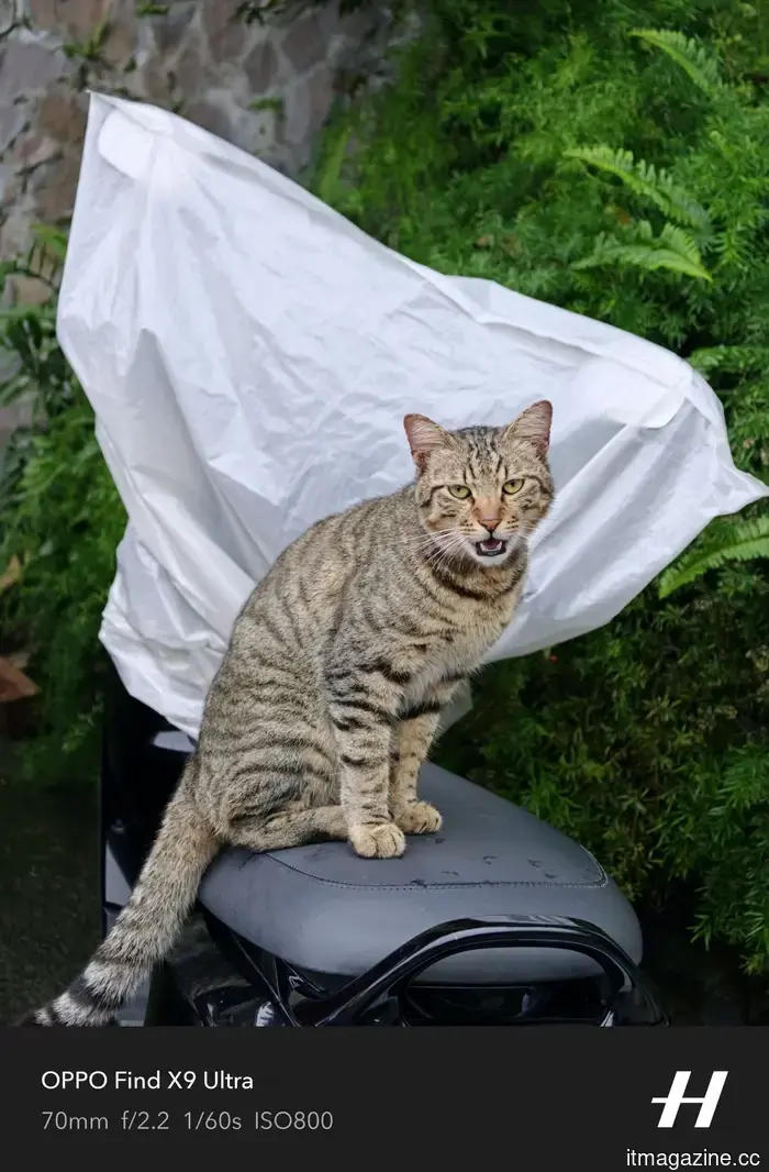 The camera setup on the OPPO Find X9 Ultra wasn't necessary to make a strong impression on me.