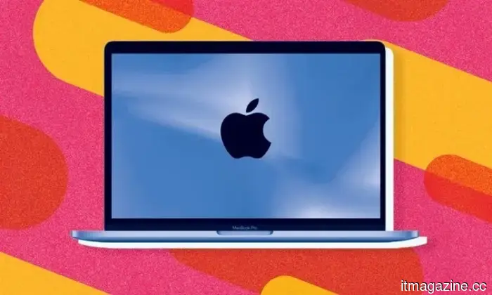 This website calls out well-known platforms such as Instagram, Netflix, and Spotify for their failure to implement passkeys, labeling them as too complacent.