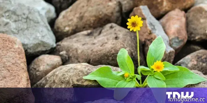 Почему устойчивость — самый недооценённый показатель успеха стартапа