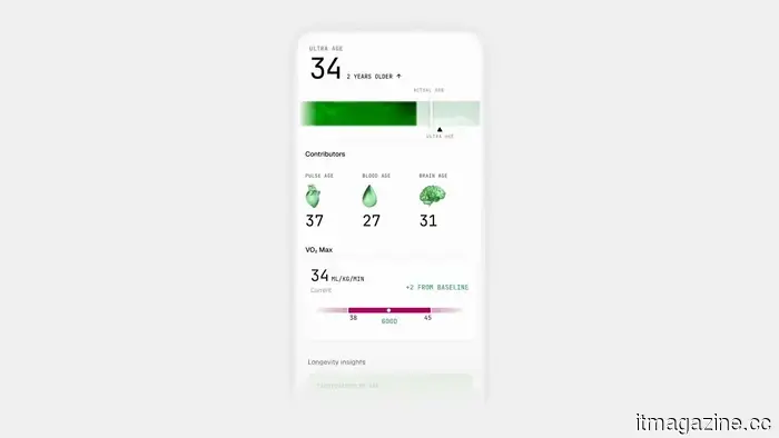 Ultrahuman's most significant update yet replaces charts with real advice.