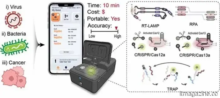 Un mini laboratorio del tamaño de unos AirPods podría ayudar a detectar marcadores de enfermedades en minutos.