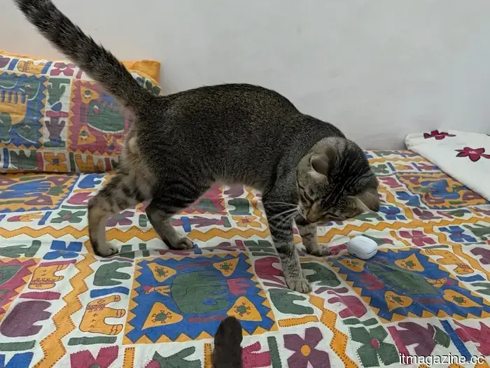 I used the Magic Capture feature on my cat with the Pixel 11 Pro, and I adore every funny shot.