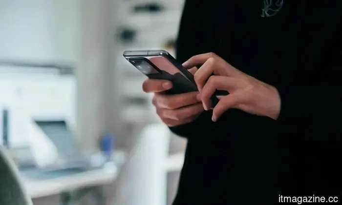 Fraudsters are currently replicating reputable news websites to swindle your money.