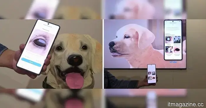 Технология Samsung для домашних животных нуждается только в фотографии, чтобы выявить проблемы со здоровьем, которые могут повредить вашим пушистым друзьям.