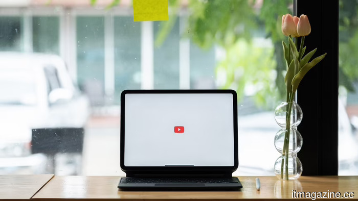 YouTube's AI content cleanup is penalizing human creators who have never revealed their identities.