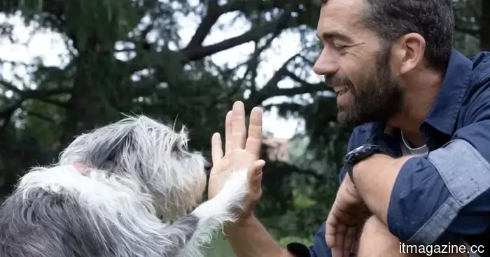 В море грязи и рисков ИИ помогает расстроенным людям находить их потерянных домашних животных.