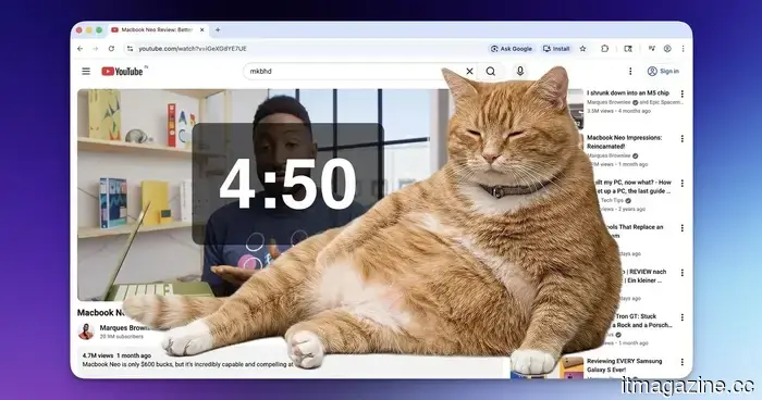 This Chrome extension allows a plump ginger cat to dominate your screen until you decide to take a break.