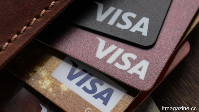 Visa introduced a stablecoin platform, causing Circle's shares to drop by six percent.