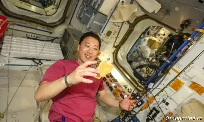 La NASA iniciará 2026 con trabajos clave en la EEI... y podrás verlos