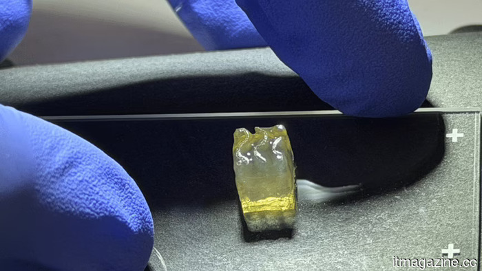 A startup created kidney and liver tissue using 3D printing technology in space.