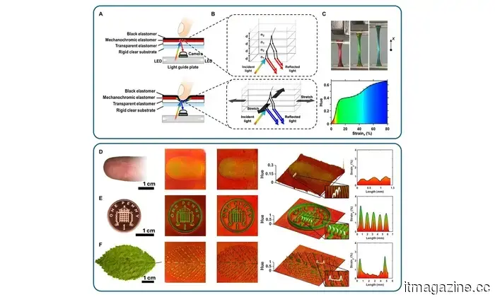 Robots can now ‘perceive’ touch due to an innovative color-changing tactile sensor.