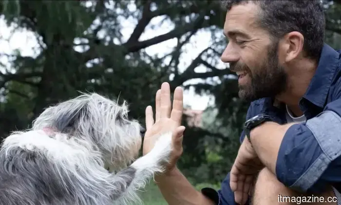 Amidst a chaotic environment filled with challenges, AI is assisting troubled individuals in locating their missing pets.