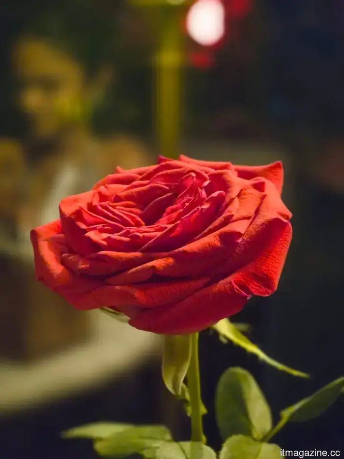 Samsung Galaxy S26 Review: This small flagship seems to be playing it a bit too safe.