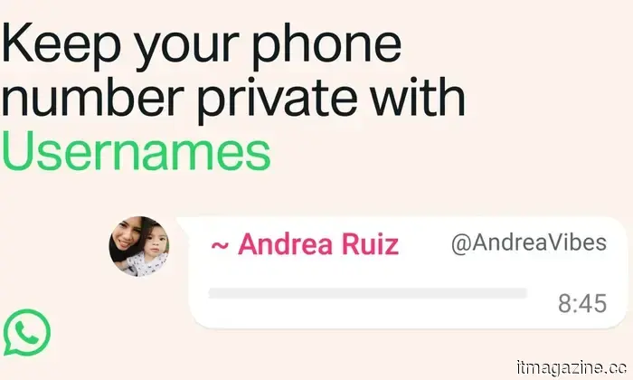 WhatsApp is finally introducing usernames, so be sure to claim yours as soon as possible.