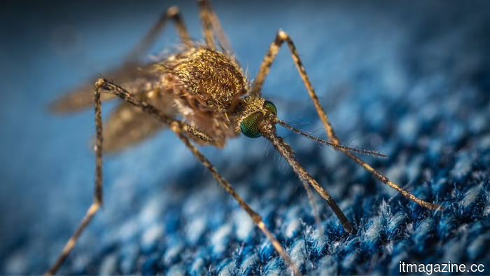 Google aims to deploy 32 million lab-grown mosquitoes to combat dengue and Zika viruses.