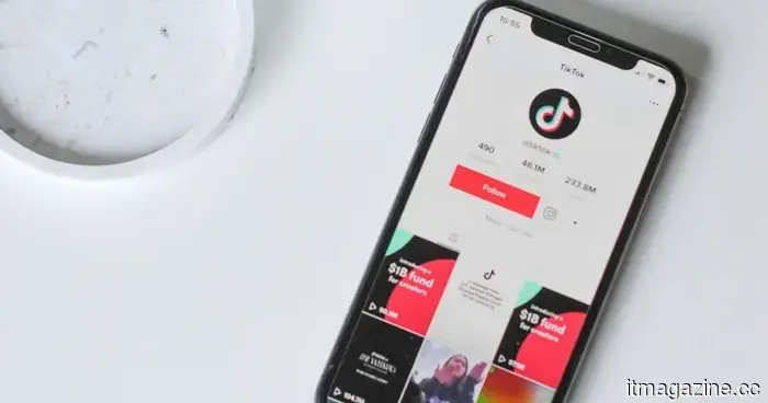 TikTok will become ad-free, but for a monthly subscription fee.