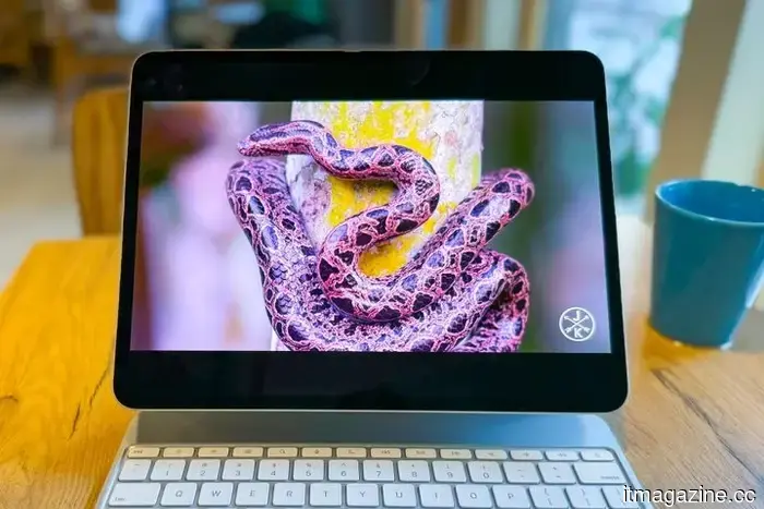 I MacBook Pro OLED sono quasi arrivati, e il display potrebbe valere l'attesa.