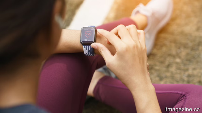 L'Apple Watch ha 11 anni ed è in calo di slancio. I rivali senza schermo stanno vincendo la fase successiva.