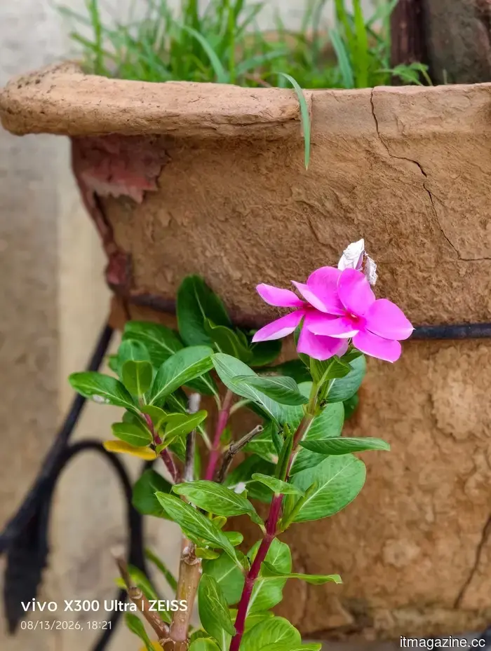 I kit zoom sui smartphone sono fantastici. Dopo aver utilizzato il Vivo X300 Ultra, non penso che siano per tutti.