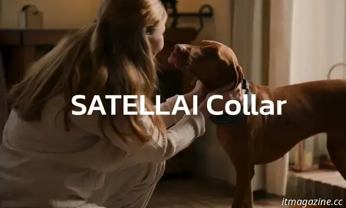 Track, Train, Thrive: il collare intelligente che sta ridefinendo la genitorialità dei cani