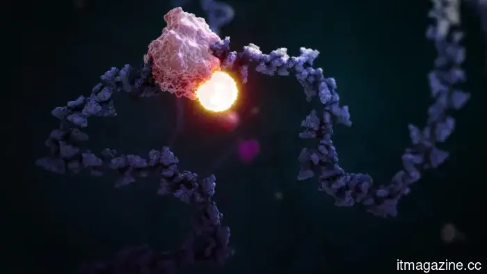 Cambridge-based biotech company STORM Therapeutics secures $56 million in funding.