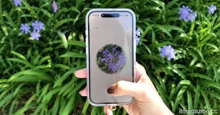 This plant identification app transforms each stroll into a Pokémon Go experience for flora.