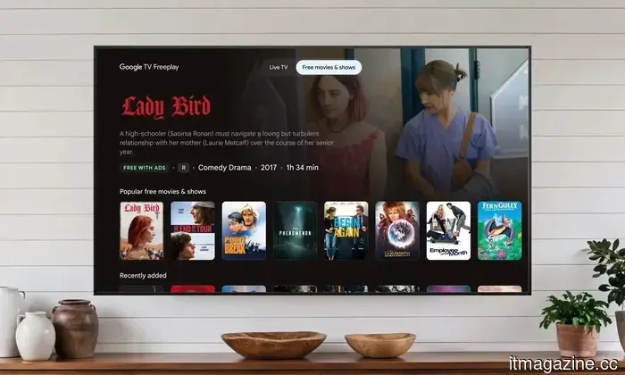 Google TV ha ora 10.000 film e programmi gratuiti che ti aspettano.