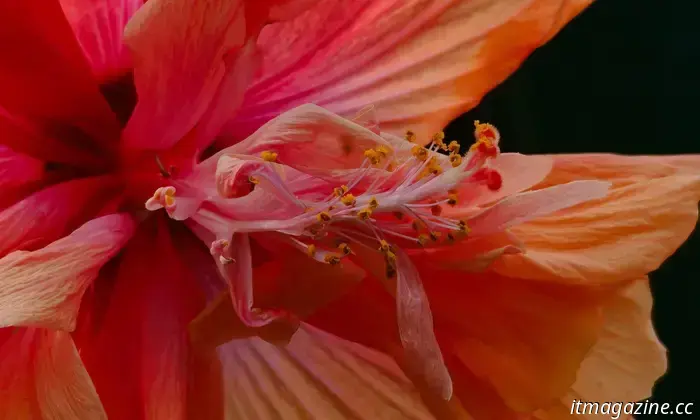 Ho recensito il OnePlus 15 e non voglio separarmene.