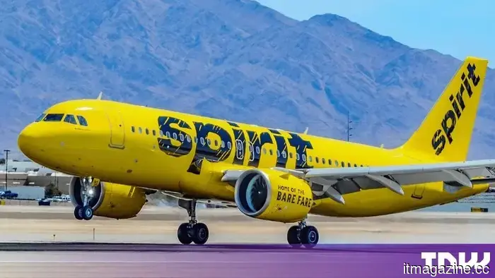 Google selected and financed the company that is anonymizing the data for Spirit Airlines.