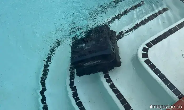 Beatbot Sora 70 Review: The Wireless 4-in-1 Robot That Effectively Cleans Your Tanning Ledge