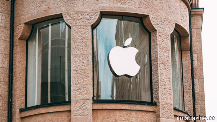 Дело Apple в индийском App Store получило процессуальный компромисс от делийского суда.