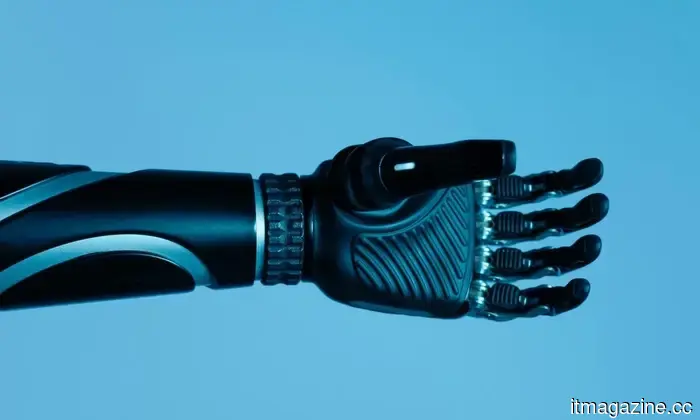 Los expertos del MIT acaban de crear un recuerdo especial. Cuando los humanos olvidan, los robots simplemente recuperarán el objeto perdido.