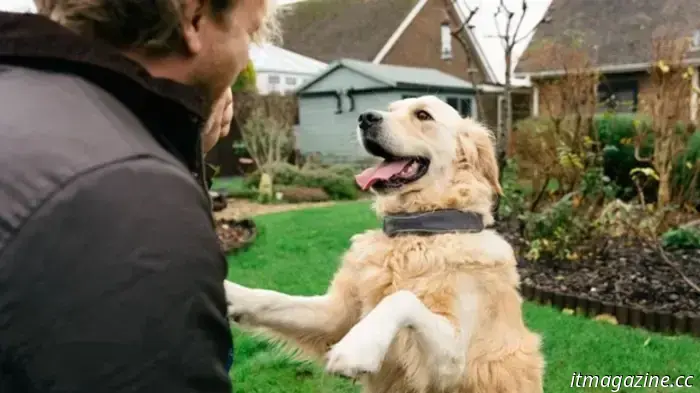 Track, Train, Thrive: il collare intelligente che sta ridefinendo la genitorialità dei cani