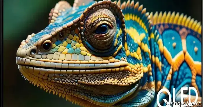 Rapide! Prendi un Samsung QLED da 55 pollici mentre è sotto 5 500