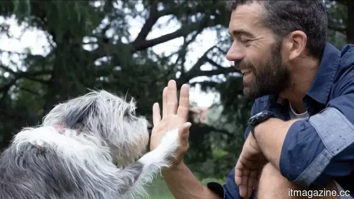 Amidst a chaotic environment filled with challenges, AI is assisting troubled individuals in locating their missing pets.