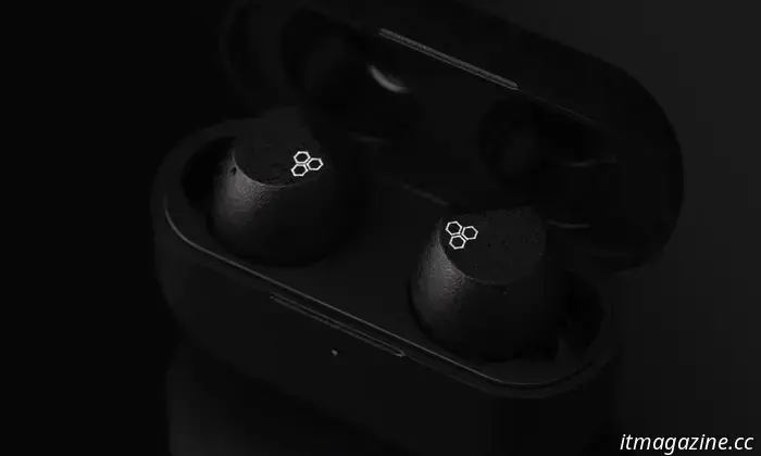 Final Audio’s newest wireless earbuds are surprisingly budget-friendly.